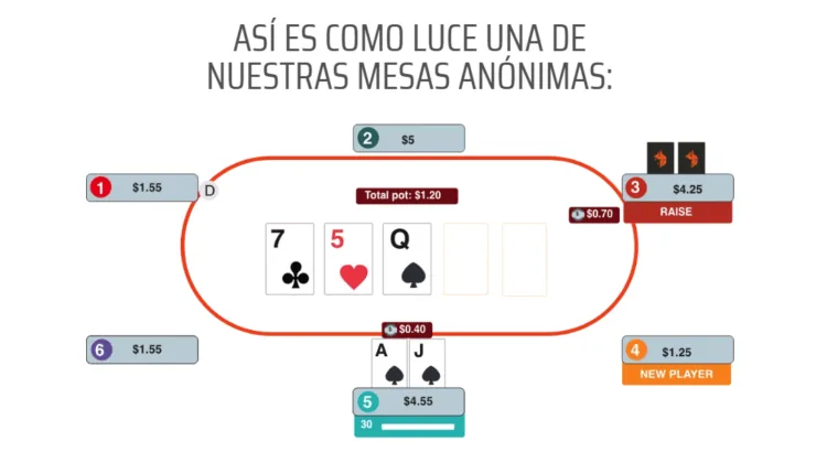 Анонимные столы и честная игра в Ignition Poker