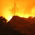 Дилер в покер был обвинён в поджоге с массовым возгоранием в Калифорнии - CodigoPoker