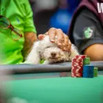 Самое важное EV-решение в покере происходит до того, как сесть за игру - CodigoPoker